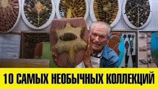10 САМЫХ НЕОБЫЧНЫХ КОЛЛЕКЦИЙ