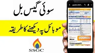 How to Check Your Sui Southern Gas Company Limited (SSGC) Bill Online 2024