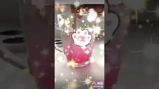 Залипашечка