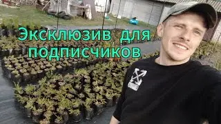 Обзор  навеса с затеняющей  сеткой