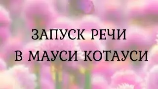 Запуск речи