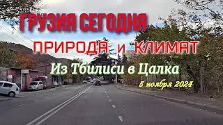 ГРУЗИЯ СЕГОДНЯ || ПРИРОДА и КЛИМАТ #levanyantoday