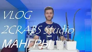 VLOG 2CRABS Studio. Мангры.