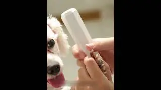 Dog Nail Grinder 3-Speed Electric Dog Nail Trimmer Clipper Professional Low Noise Paws Grooming