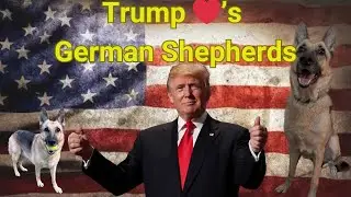 Donald Trump Loves German Shepherds | Rally 🐶❤️