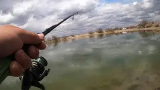 Mañana Complicada Tarde Activa | Pesca de Lobina Rancho Gral bravo Parte 2