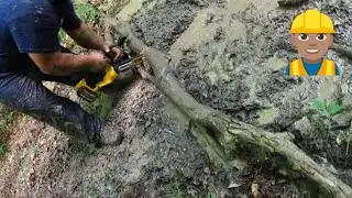 DEWALT BATTERY POWER CHAINSAW GETS THESE TREES MOVED OFF THE TRAIL