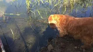 VID 20200701 095222