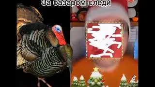 слежу