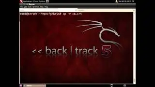 How to: OpenVPN on *nix