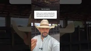 Manejo do Pasto Prejudicado pela Falta de Chuva na Pecuária: Estratégias e Soluções. #pecuaria #boi