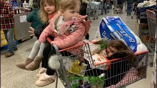 Їдемо в Costco по цукерки + 🫐🍓🥖🍫 Ходімо прогулятися з нами😊 #usa #costco #shooping_withchildren