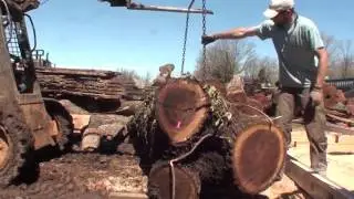 SUPER AWESOME 27 HP, 7 foot chainsaw mill! BLACK WALNUT!
