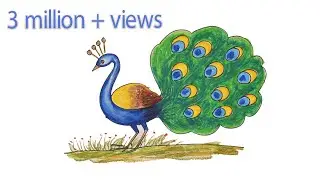 How to Draw Peacock With Colours  || By Weekend Art || #Episode2