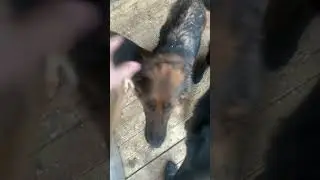 Когда дома очень ждут ☺️