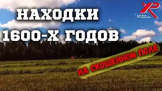 СКОСИЛИ ПОЛЕ, ПОПЕРЛИ НАХОДКИ! ЧУТЬ НЕ ВЫГНАЛИ ФЕРМЕРЫ! Коп монет 2023 с металлоискателем XP!