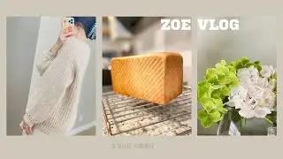 【Zoe vlog #35】记录生活 最近爱做吐司 用老板蒸烤箱发面 种Trader Joes买的绣球 繁殖 周末海边散步 陪玩童年回忆跳棋