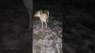 Когда предложила передать привет маме... 