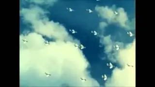 Aircraft J29 ''Tunnan'' || Tribute