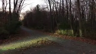 ZZP 3in catback
