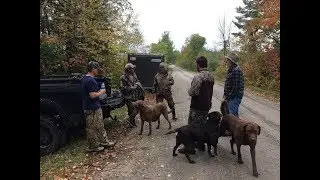 DUCK HUNTING 2017. Minnesota Opening Weekend. 
