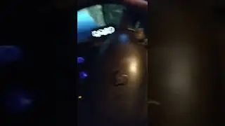 похота полупара я и мой настоящий брат