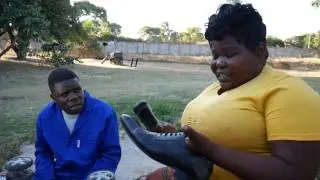 ZVIROTO