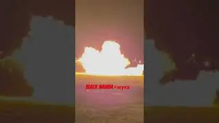 Тест петарды black mamba с мукой 