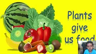 Plants : How Do They Help Us ?