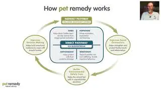 How Pet Remedy Works   Dr  Robert Falconer Taylor