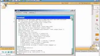 Using the Cisco IOS Show Commands.wmv Packet Tracer