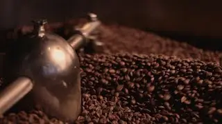 De lekkerste koffie ooit! HAX vlog #31