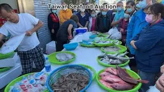 Taiwan Seafood Auction - So Many People Came to Watch him Sell Fish !