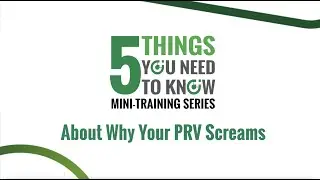 5 Things You Need to Know About Why Your PRV Screams