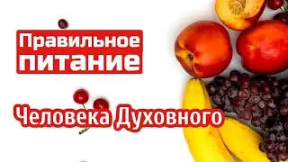 Species-Appropriate Human Nutrition. Types of Diets: Truth or Absolute Truth?