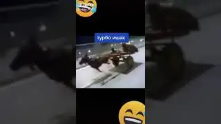 Турбо ишак