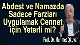 Is it enough for Paradise to only perform the Fards in Wudu and Prayer? Prof Dr Mehmet Okuyan