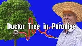 Doctor Tree in Paradise