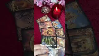 Таро расклад💫Что думает о Вас Новый знакомый?