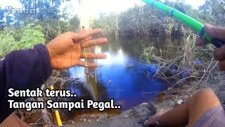 Fishing right at the bottom of the fish
