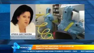 Миру грозит бактерия, от которой не могут погибнуть антибиотики