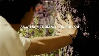 Stay Gold - BTS [mv sub. español]