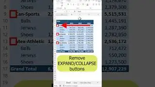 Remove +/- buttons in pivot table