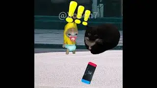 BANANA CAT 🍌🐱 BABY SNATCHES SWITCH TO PLAY AND CRASHED BY CAR 