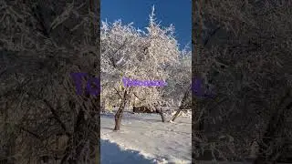 14 января 2024 г.