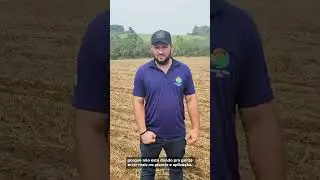 Produtor do Paraná conta sua experiência com análise metagenômica de solo da Pattern Ag.