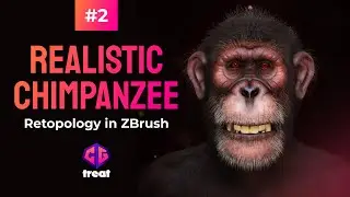 Master Zbrush: Realistic Chimpanzee Creation - Retopology in ZBrush