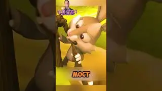 Ссора никому не выгодна😤 