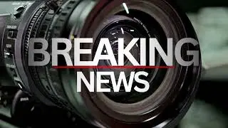 Breaking News Opener Sound Effect | Free Download | Copyright-Free
