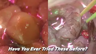 Have You Ever Tried Raw Shrimp Before? | Floppy Peng